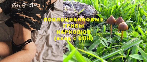 MESCALINE Гусев