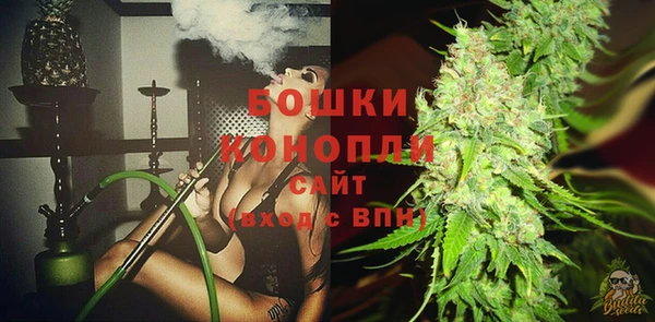 apvp Гусь-Хрустальный